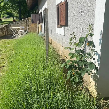 Nyuszifuelhaz Im Weinberg Mit Pool Feriehus