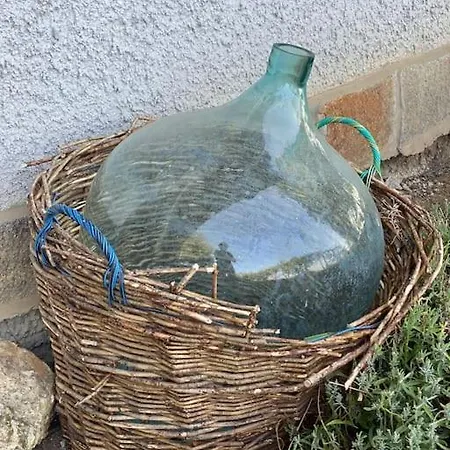 Nyuszifuelhaz Im Weinberg Mit Pool Prázdninový dům