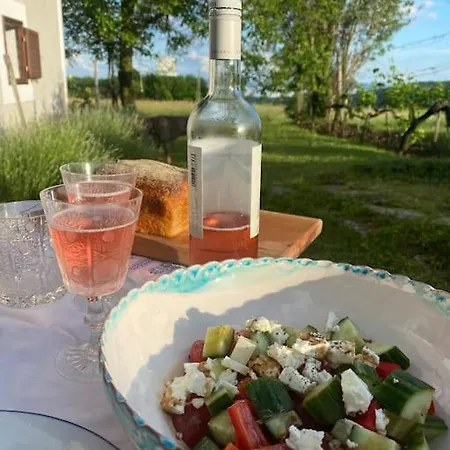 Prázdninový dům Nyuszifuelhaz Im Weinberg Mit Pool Mencshely