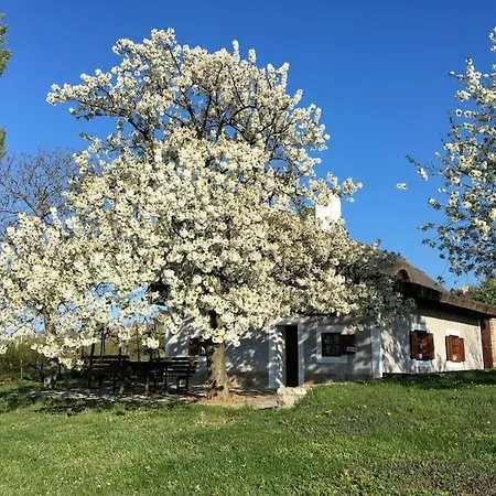 Nyuszifuelhaz Im Weinberg Mit Pool Feriehus