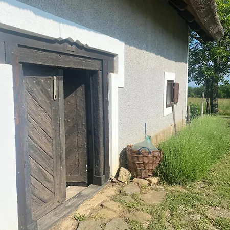 Nyuszifuelhaz Im Weinberg Mit Pool Feriehus