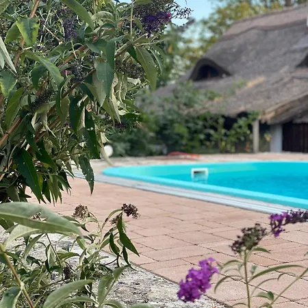 Prázdninový dům Nyuszifuelhaz Im Weinberg Mit Pool *
