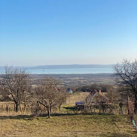 Nyuszifuelhaz Im Weinberg Mit Pool Prázdninový dům Mencshely