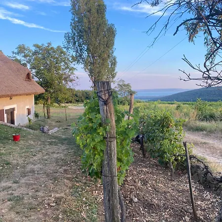 Prázdninový dům Nyuszifuelhaz Im Weinberg Mit Pool