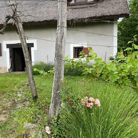 Prázdninový dům Nyuszifuelhaz Im Weinberg Mit Pool